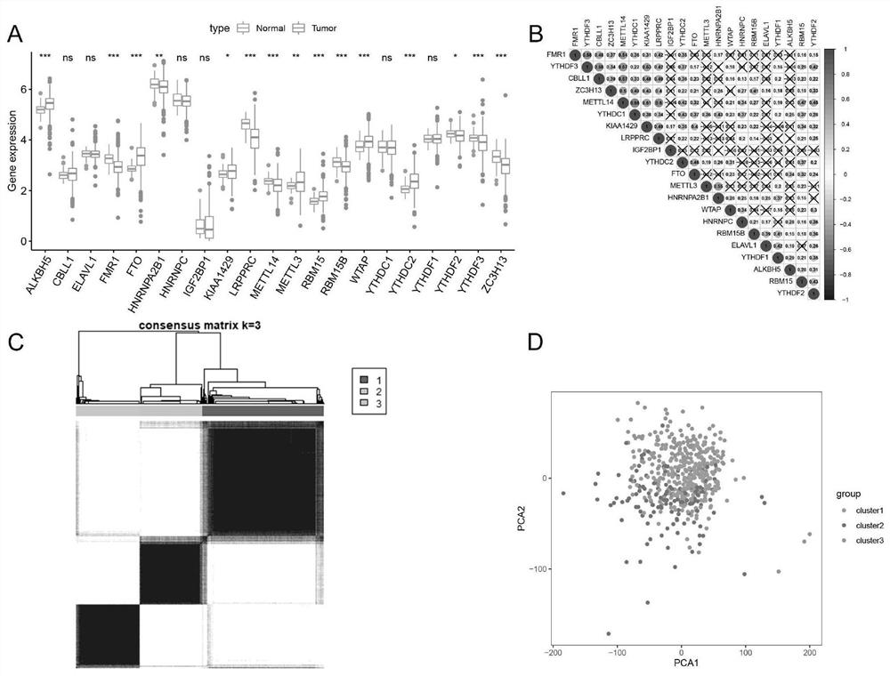 application of m6A modification related combined genome in predicting curative effect of immunotherapy for patients with renal clear cell carcinoma