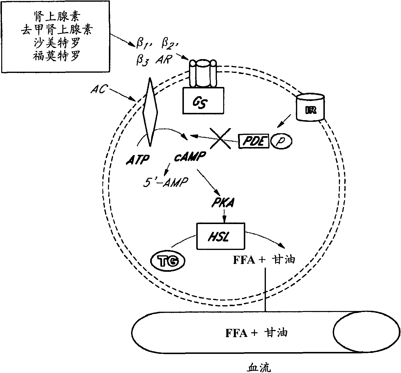 Compositions and formulations for the treatment of thyroid eye disease