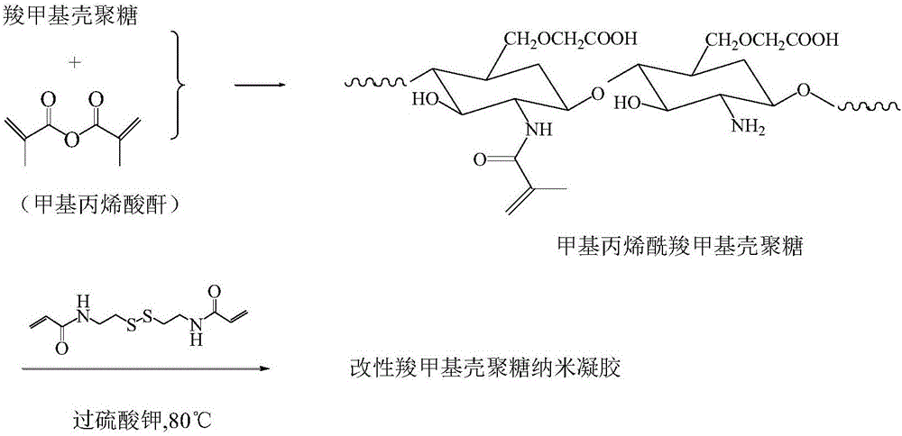 Preparation of a modified carboxymethyl chitosan nanogel
