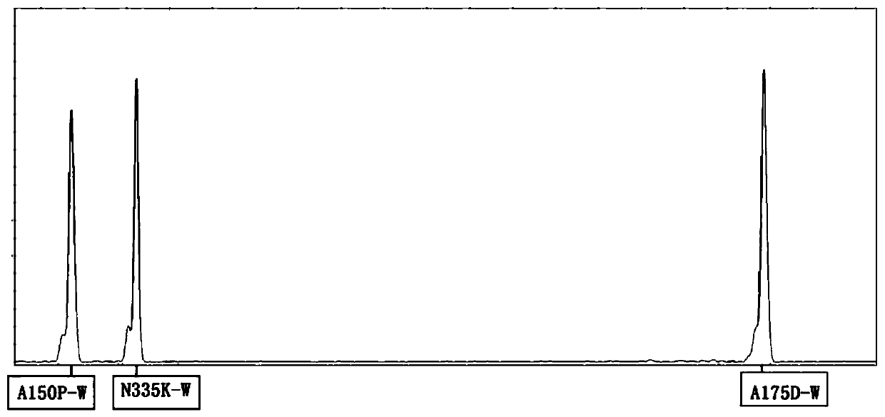 A kind of human fructose diphosphate aldolase b gene detection method and kit