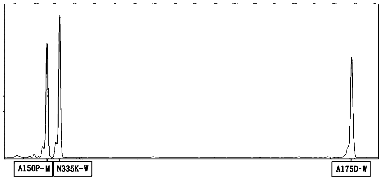 A kind of human fructose diphosphate aldolase b gene detection method and kit