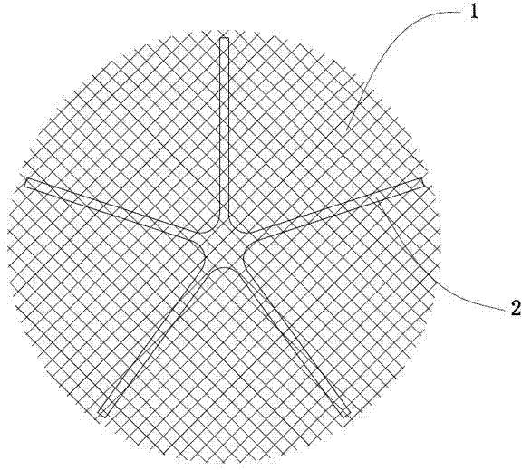 Automatic-expansion patch and using method thereof