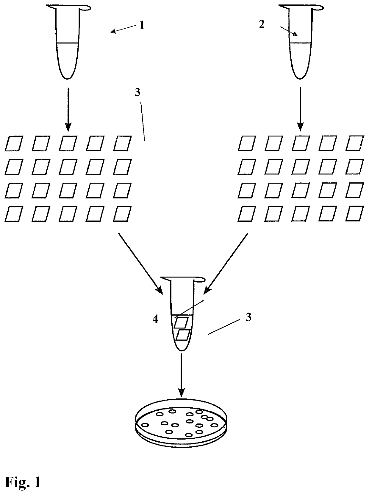 Method, substrate and kit for one-pot one-step assembly of DNA molecules