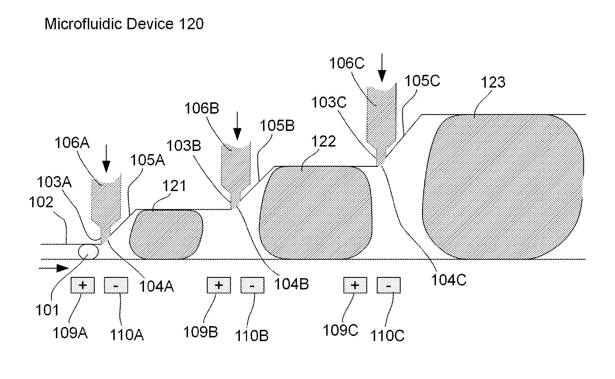 System and method for performing droplet inflation