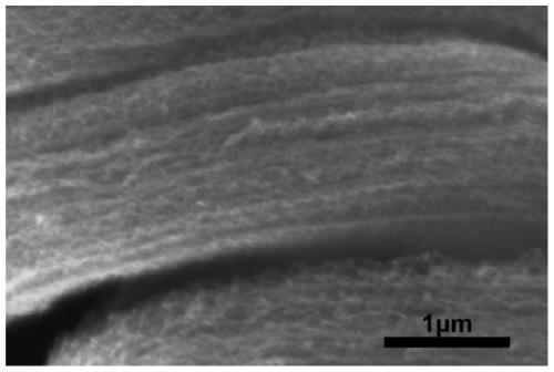Preparation method of ultra-long few-walled carbon nanotube array
