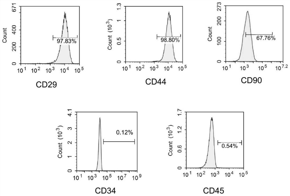 Application of induced extracellular vesicles in preparation of preparations for prolonging life of mammals or treating or preventing aging