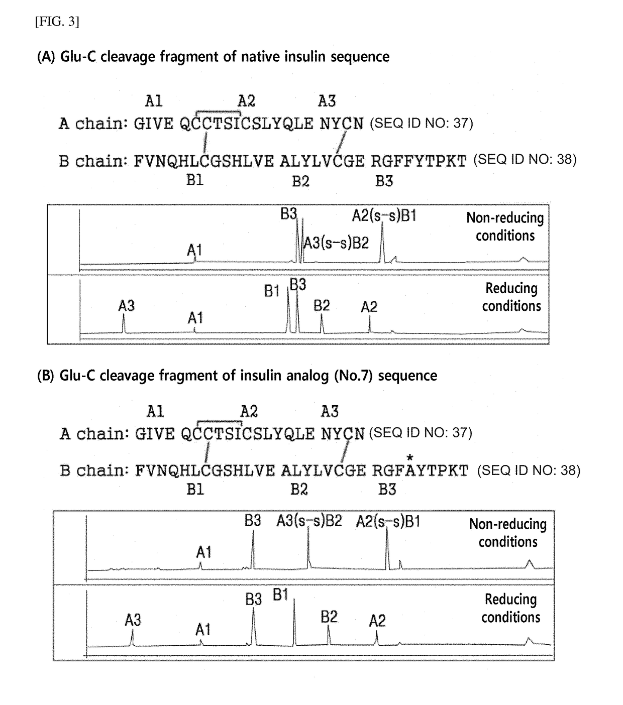 Novel insulin analog and use thereof