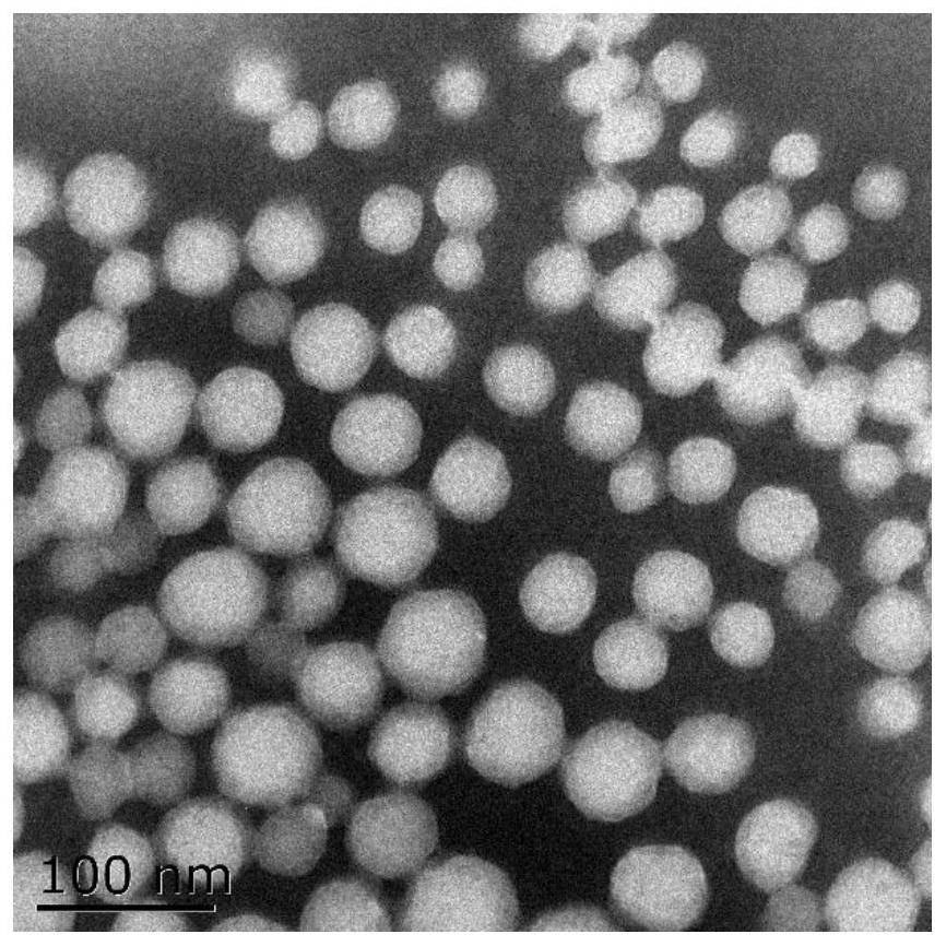 Water-based composite latex applied to preparation of hydrophobic aluminum foil and synthesis process of water-based composite latex