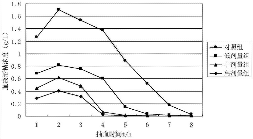 Antrodia camphorata buccal tablets for hangover and preparation method thereof