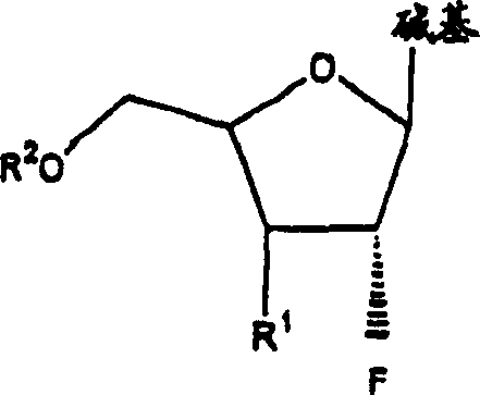 2'-fluoroncucleosides