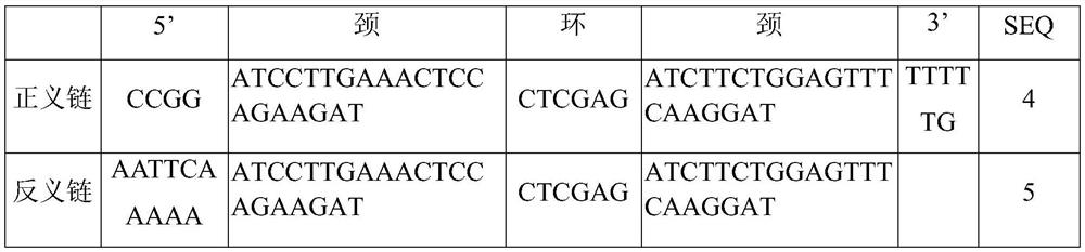 Application of human CFAP65 gene and related products
