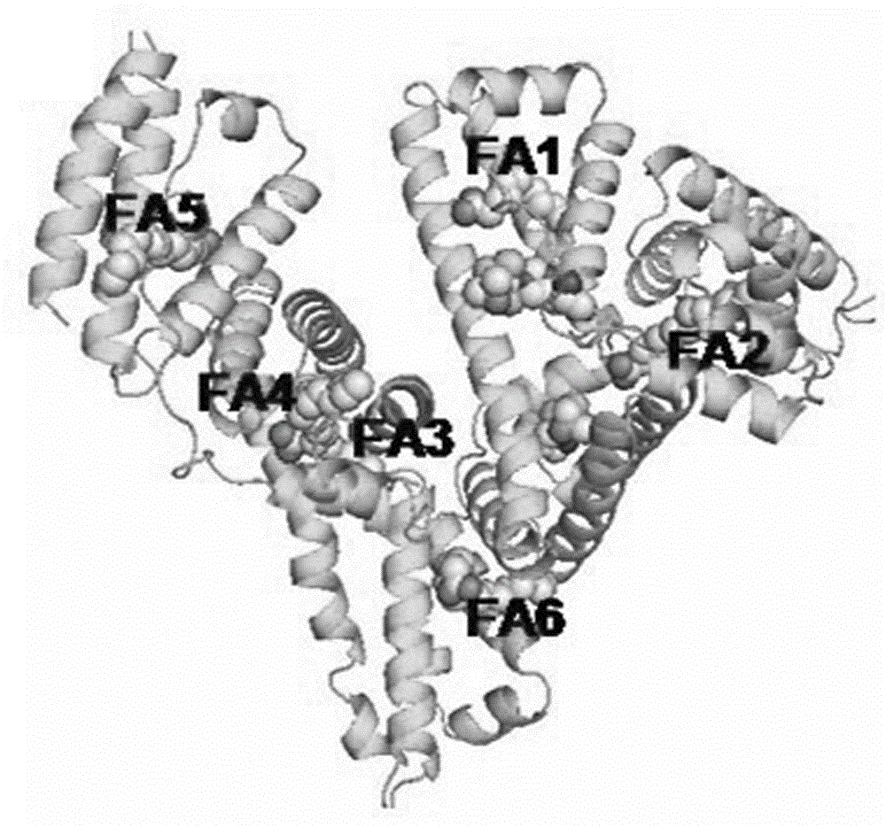 Preparation and application of human serum albumin-ruthenium inorganic drug complex