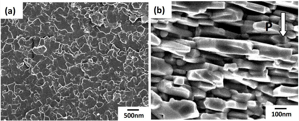 Method for preparing anisotropic NdFeB magnetic powder by directional crushing of thermally deformable magnets