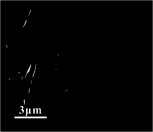 Copper titanate nanoneedle and preparation method thereof