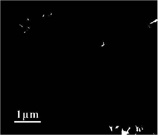 Copper titanate nanoneedle and preparation method thereof