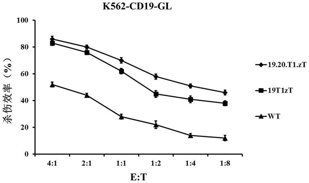 CD19 and CD20 double-target chimeric antigen receptor and application thereof