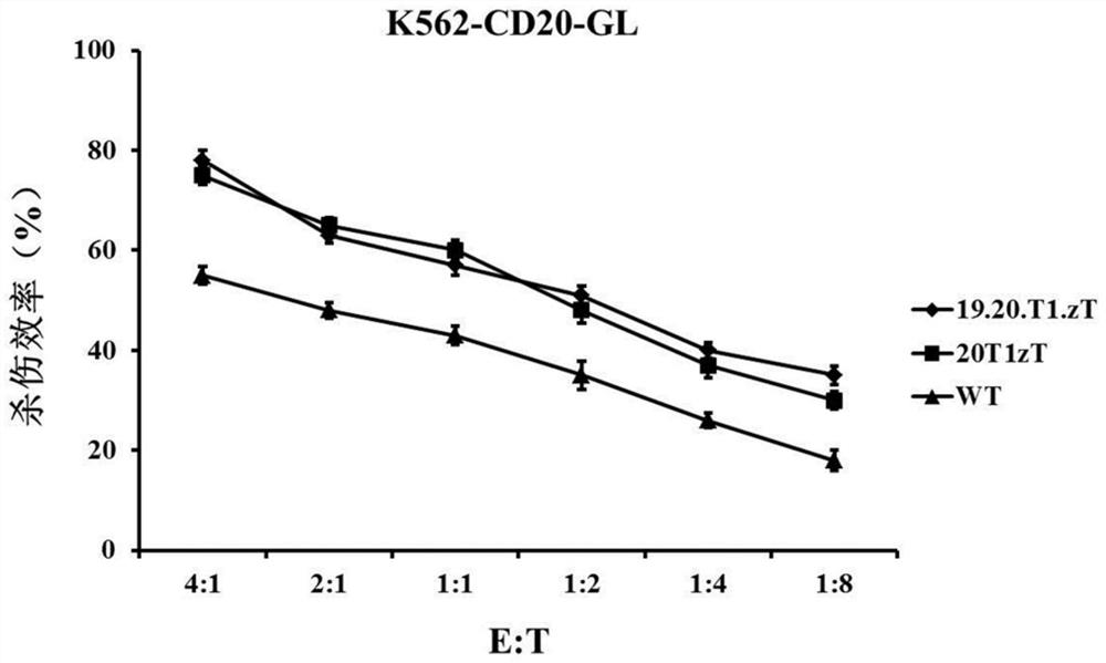 CD19 and CD20 double-target chimeric antigen receptor and application thereof