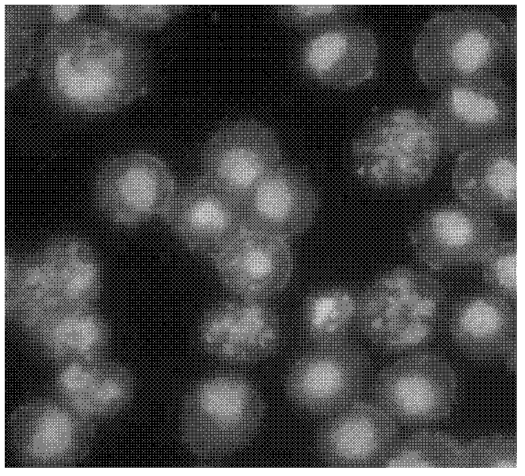 A kind of chalcone derivative, its preparation method and its application as a tumor cell apoptosis inducer