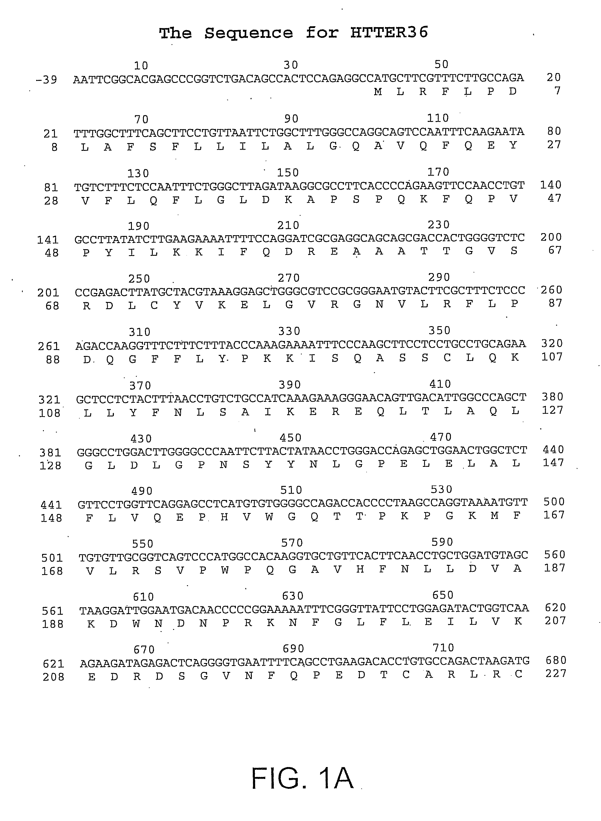 Growth Factor HTTER36