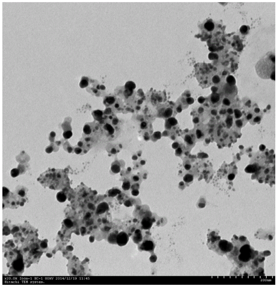 Method for preparing nano-silver by means of microalgae