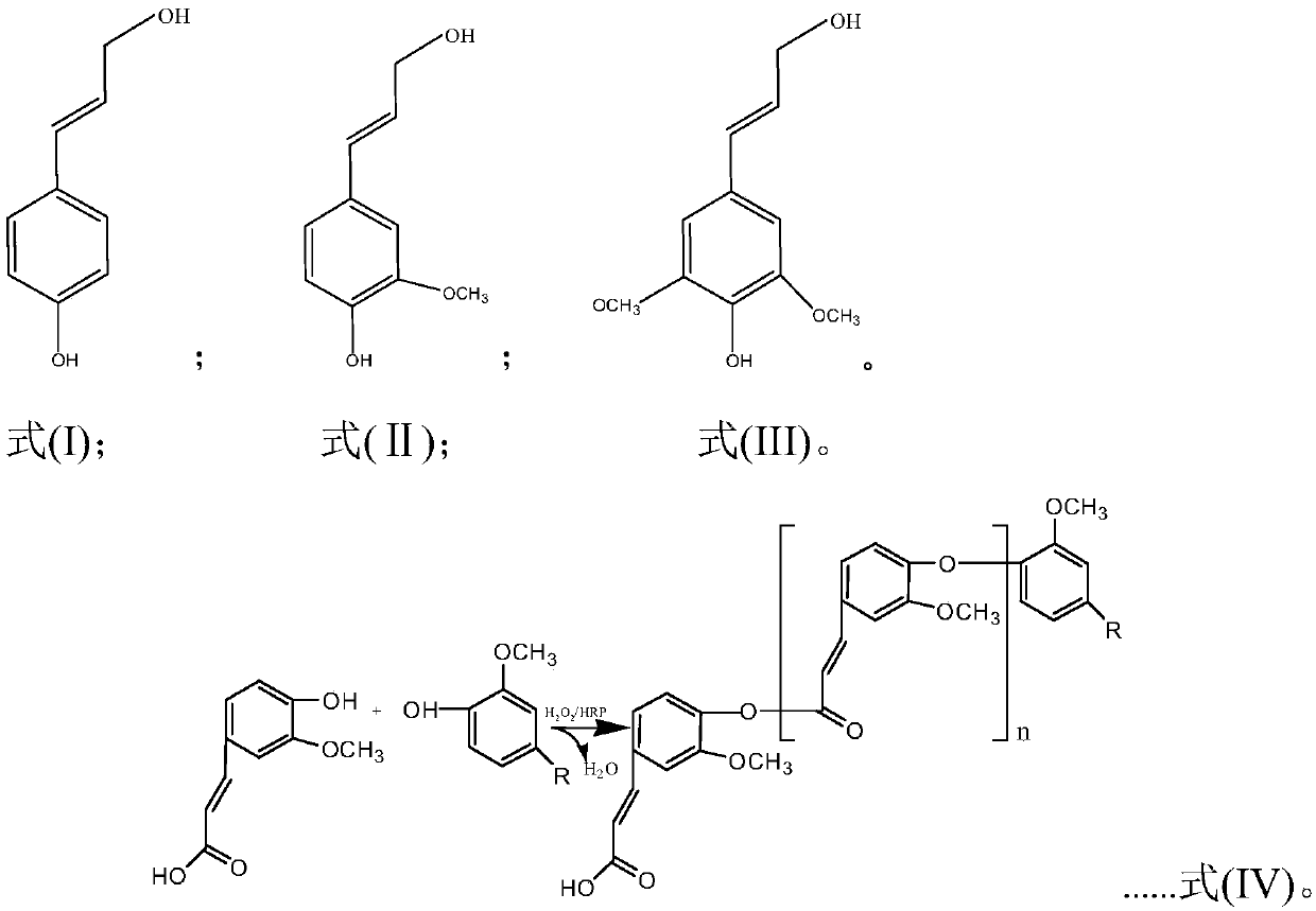 Anti-biological fouling reverse osmosis membrane and preparation method thereof