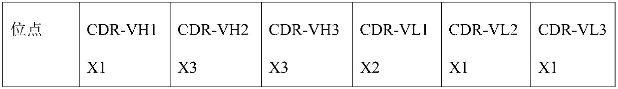 Recombinant antibody of anti-human cardiac troponin I