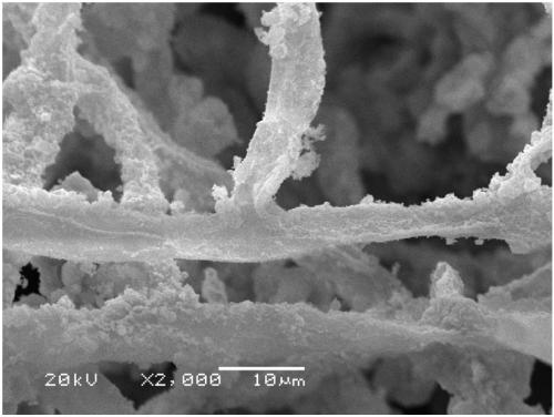 A kind of iron-based biochar material and its preparation and application