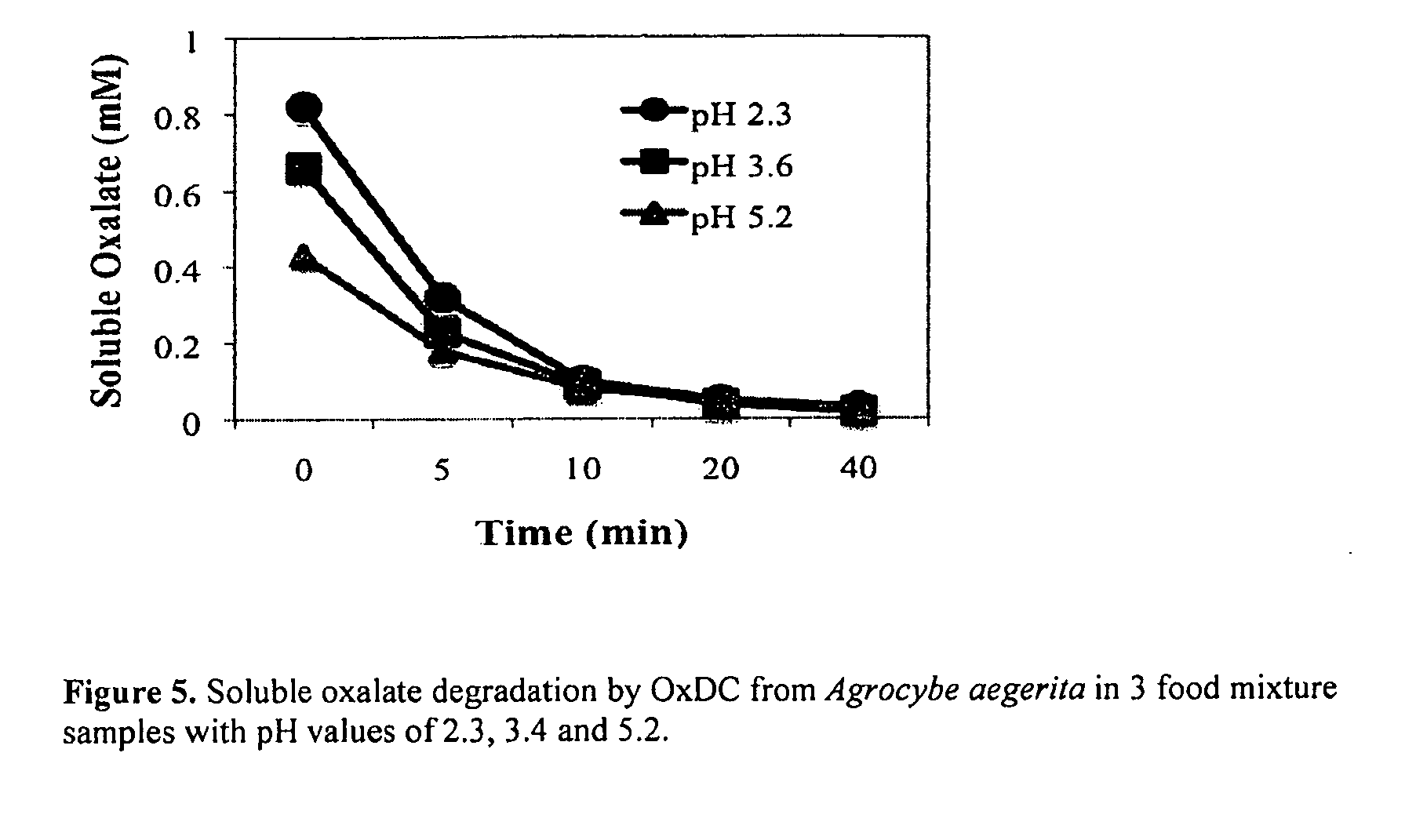 Methods and Compositions for Treating Oxalate-Related Conditions