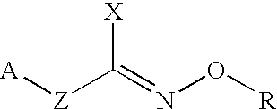 Hydroxylamine derivatives useful for enhancing the molecular chaperon production and the preparation thereof