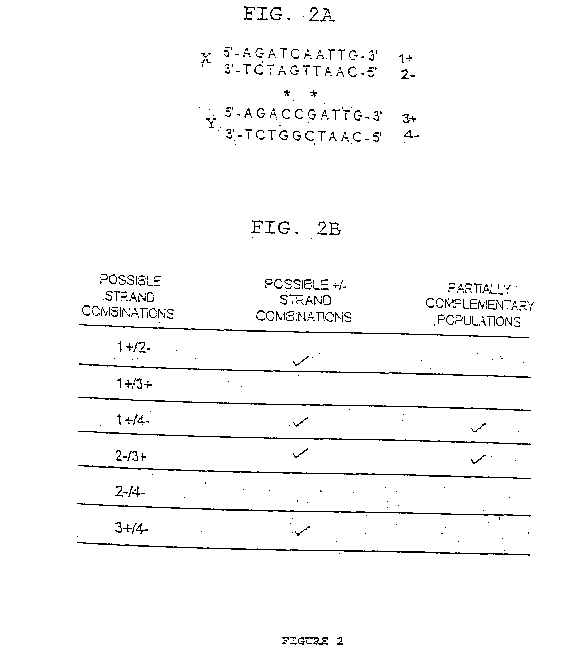 Nucleic acid molecules encoding endonucleases and methods of use thereof