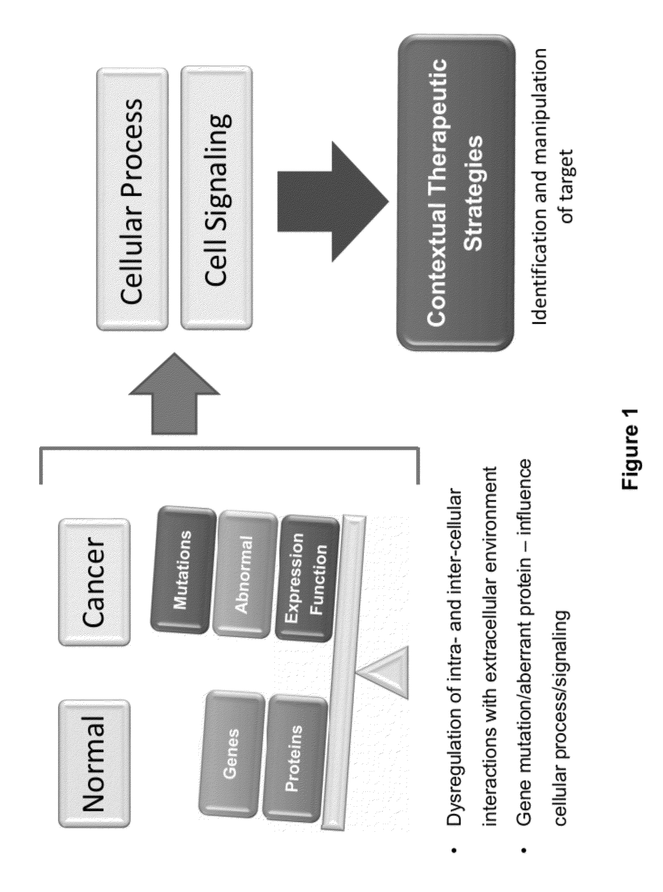 Interrogatory cell-based assays and uses thereof