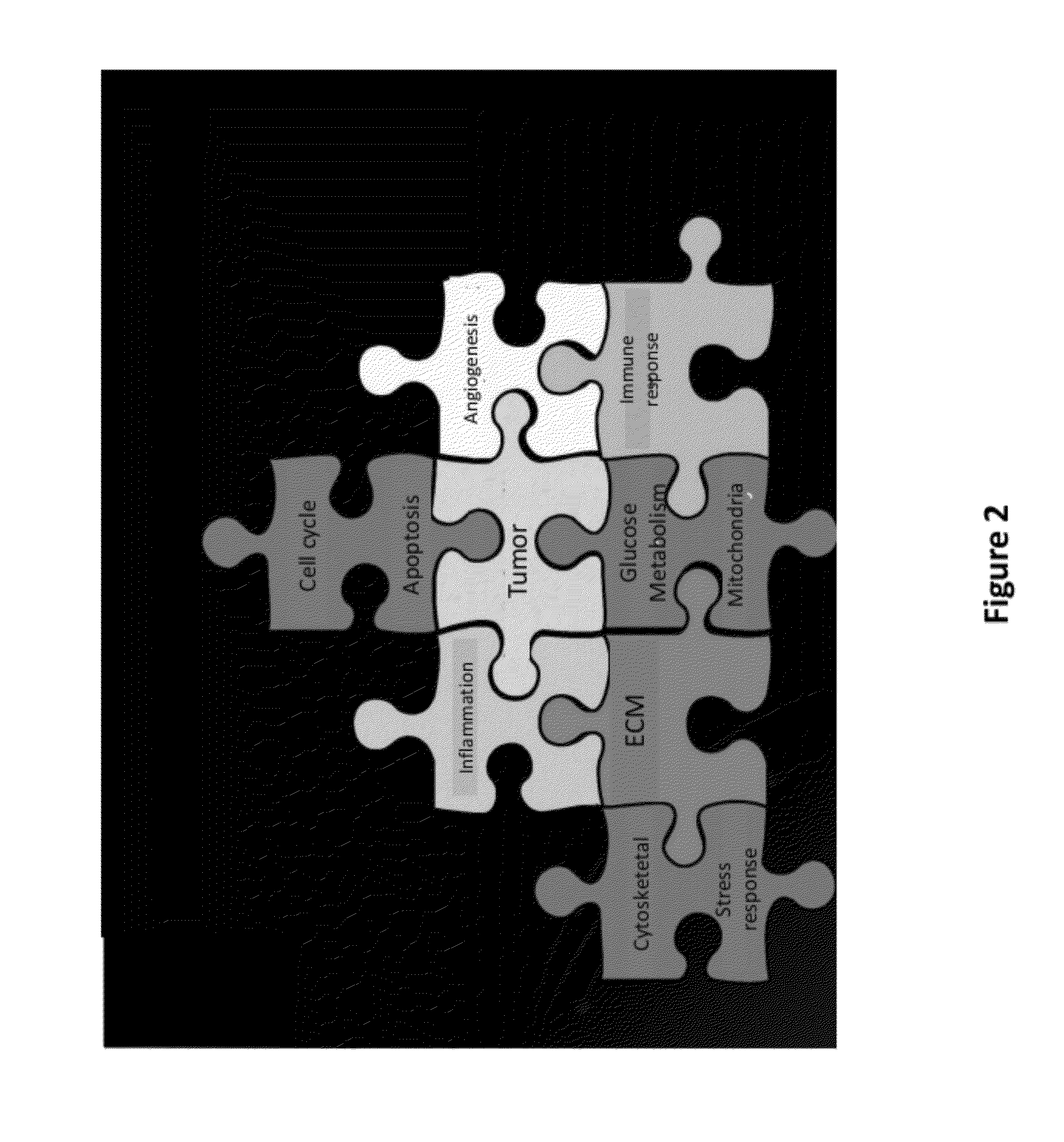 Interrogatory cell-based assays and uses thereof