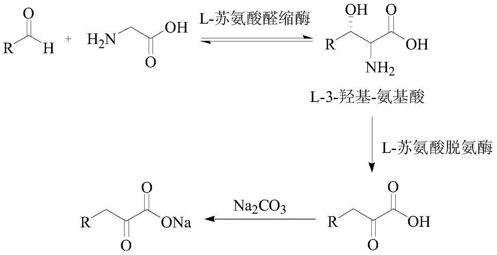 Method for synthesizing high-purity 2-ketonate
