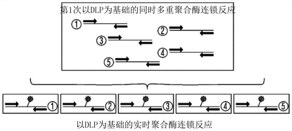 Method for detecting target nucleic acid sequence amplified by multiplex amplification double signal