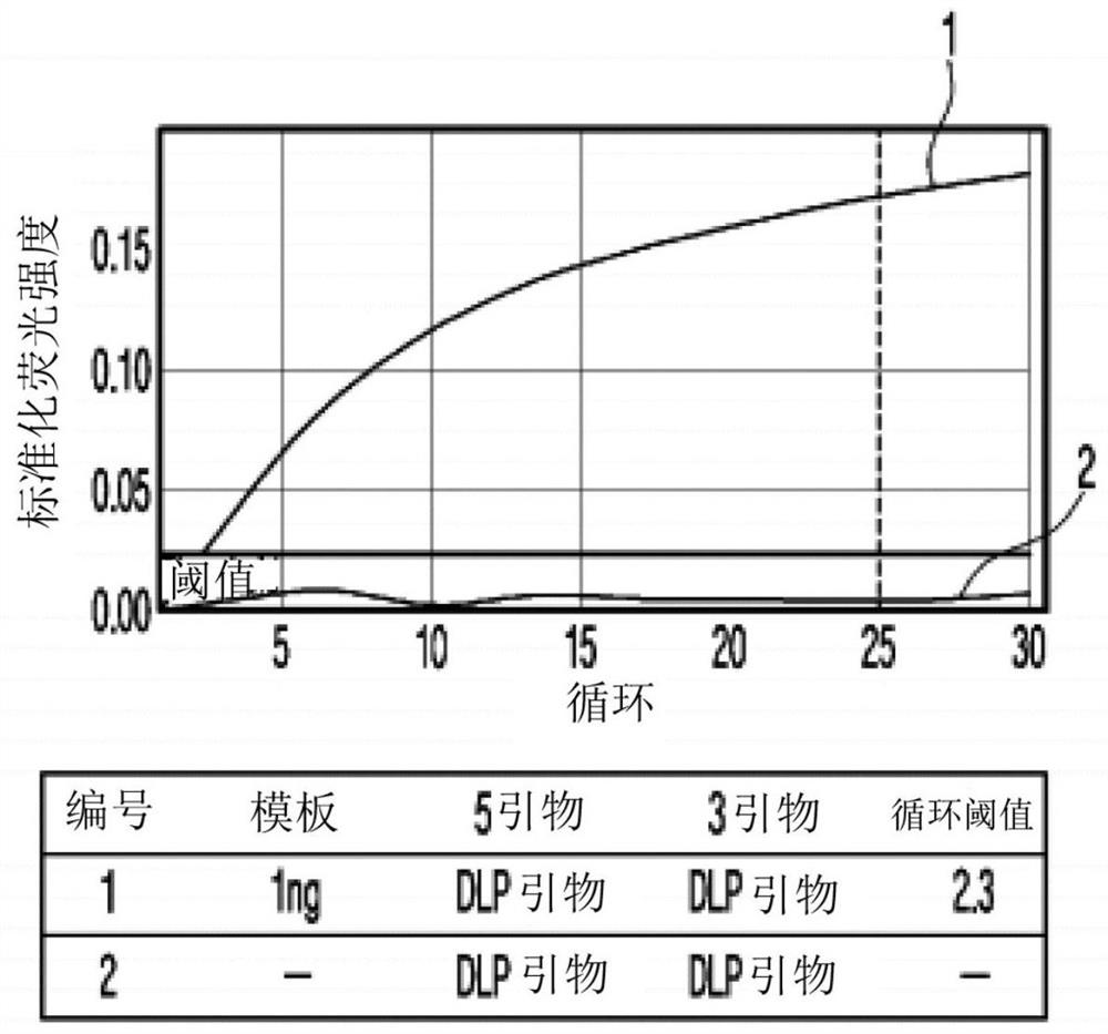 Method for detecting target nucleic acid sequence amplified by multiplex amplification double signal