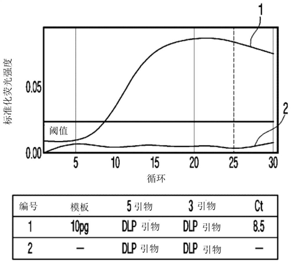 Method for detecting target nucleic acid sequence amplified by multiplex amplification double signal