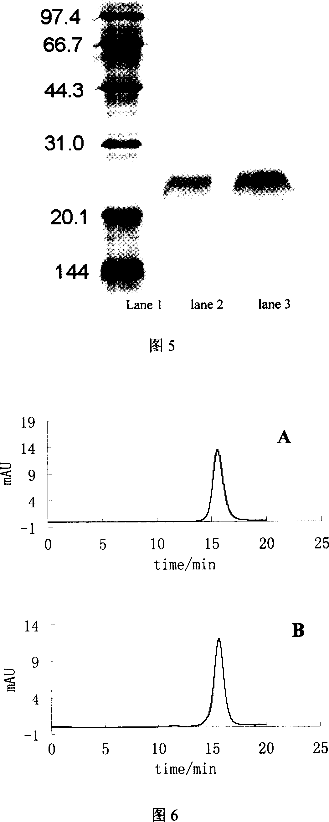Method for separating and purifying recombined hepatitis b surface antigen expressed by Hansenula yeast