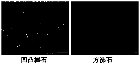 Method for preparing spherical analcime mesoporous material from low-quality attapulgite clay tailings