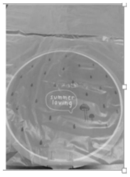 A kind of modified starch/pva fruit and vegetable fresh-keeping film with sensitivity to carbon dioxide and preparation method thereof