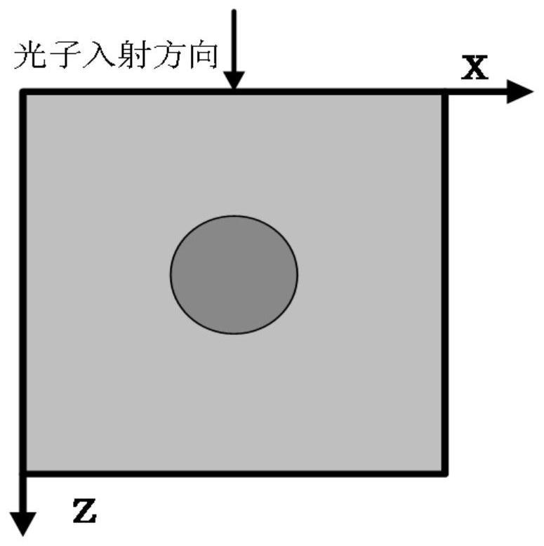 Rapid Monte Carlo simulation method for simulating photon propagation