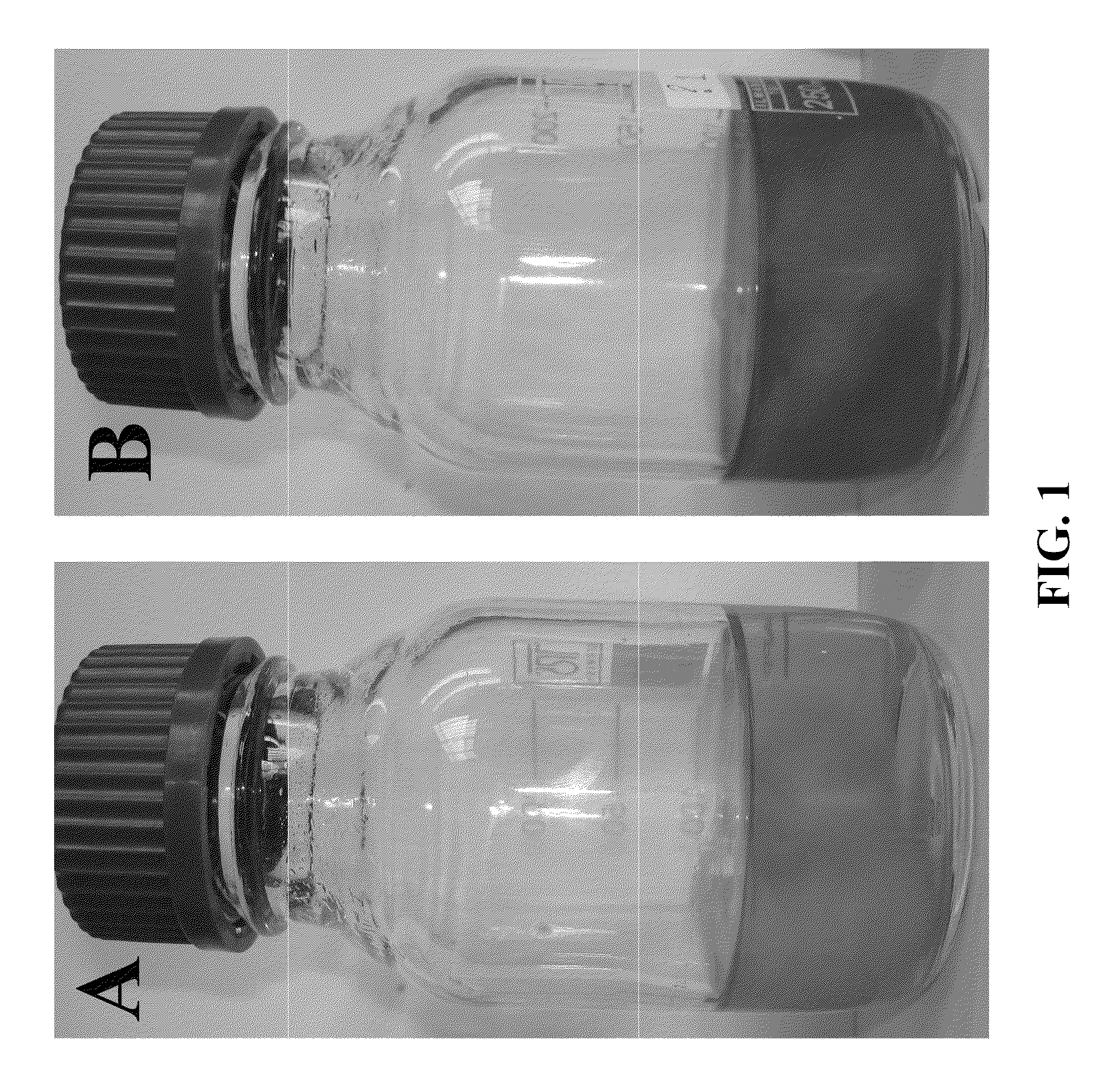 Synthesis of nanoparticles by fungi