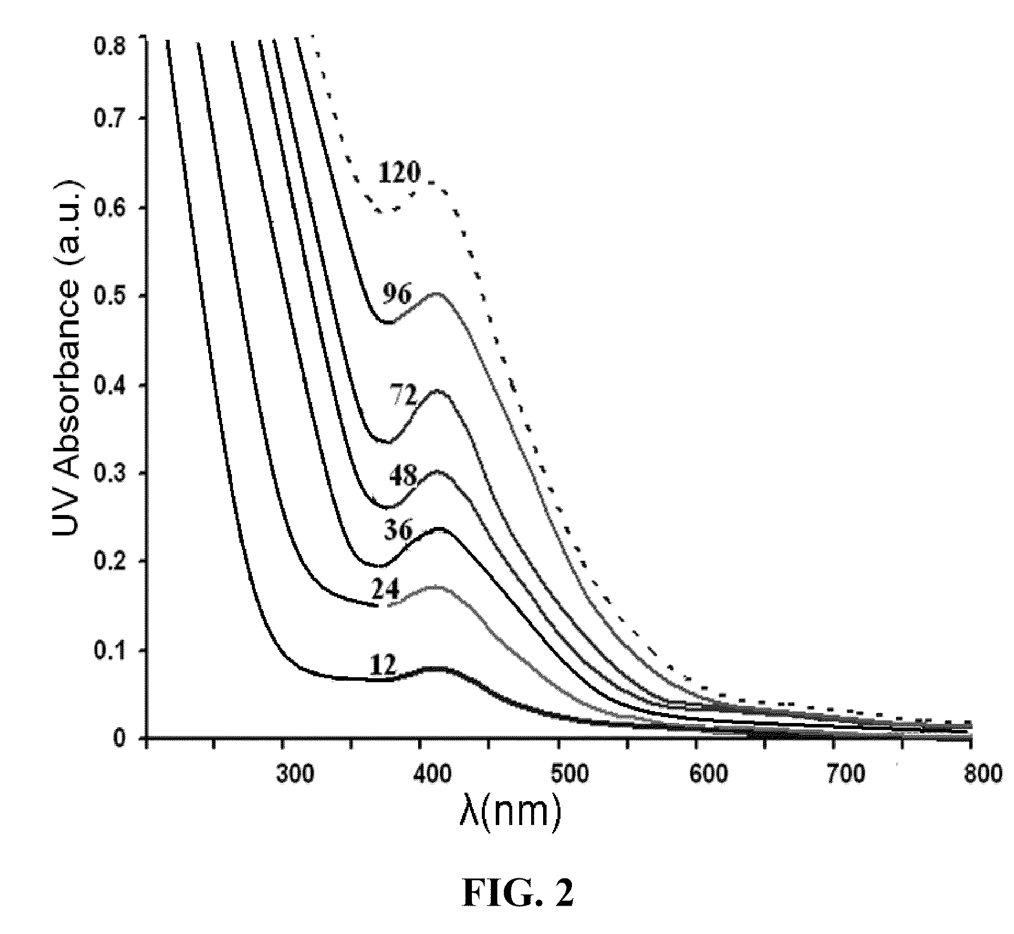 Synthesis of nanoparticles by fungi