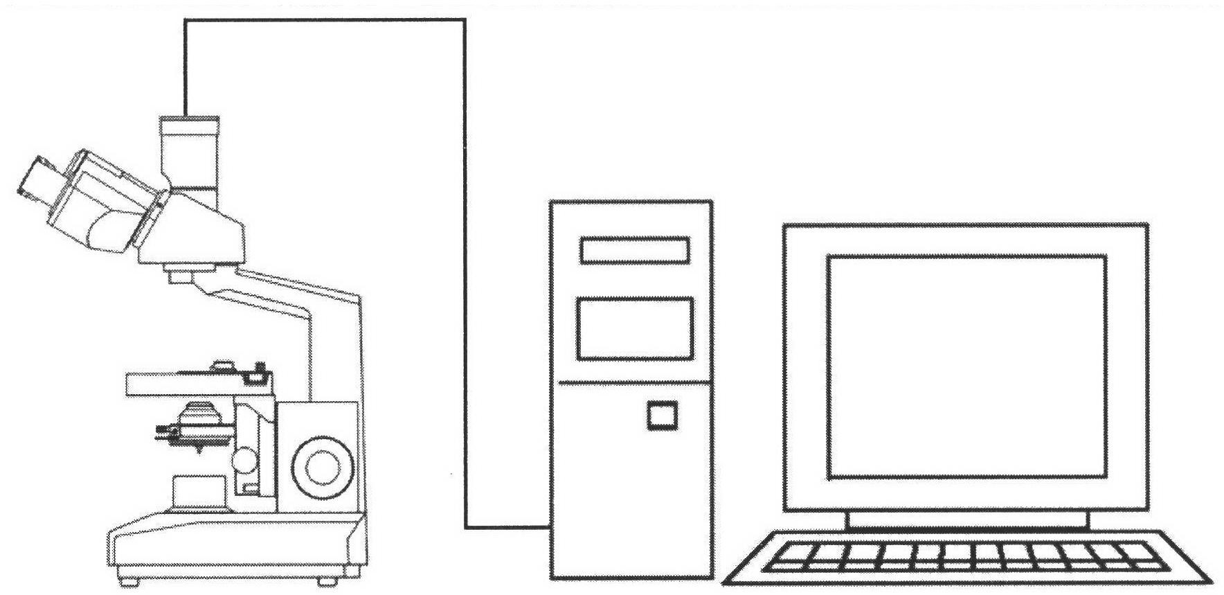 Automatic identification method of color fabric color mold pattern image based on image processing