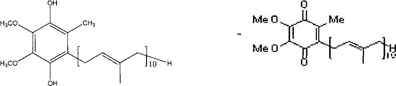 Toothpaste containing coenzyme Q10 and preparation method thereof