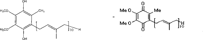 Toothpaste containing coenzyme Q10 and preparation method thereof