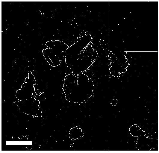 Preparation method of flake aluminum nitride powder