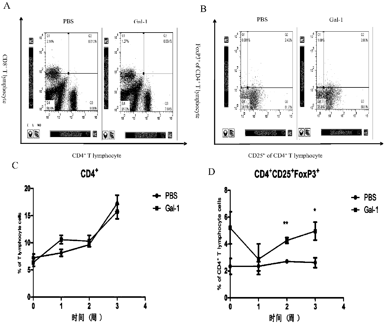 Application of a protein galectin-1 from Angiostrongylus cantonensis