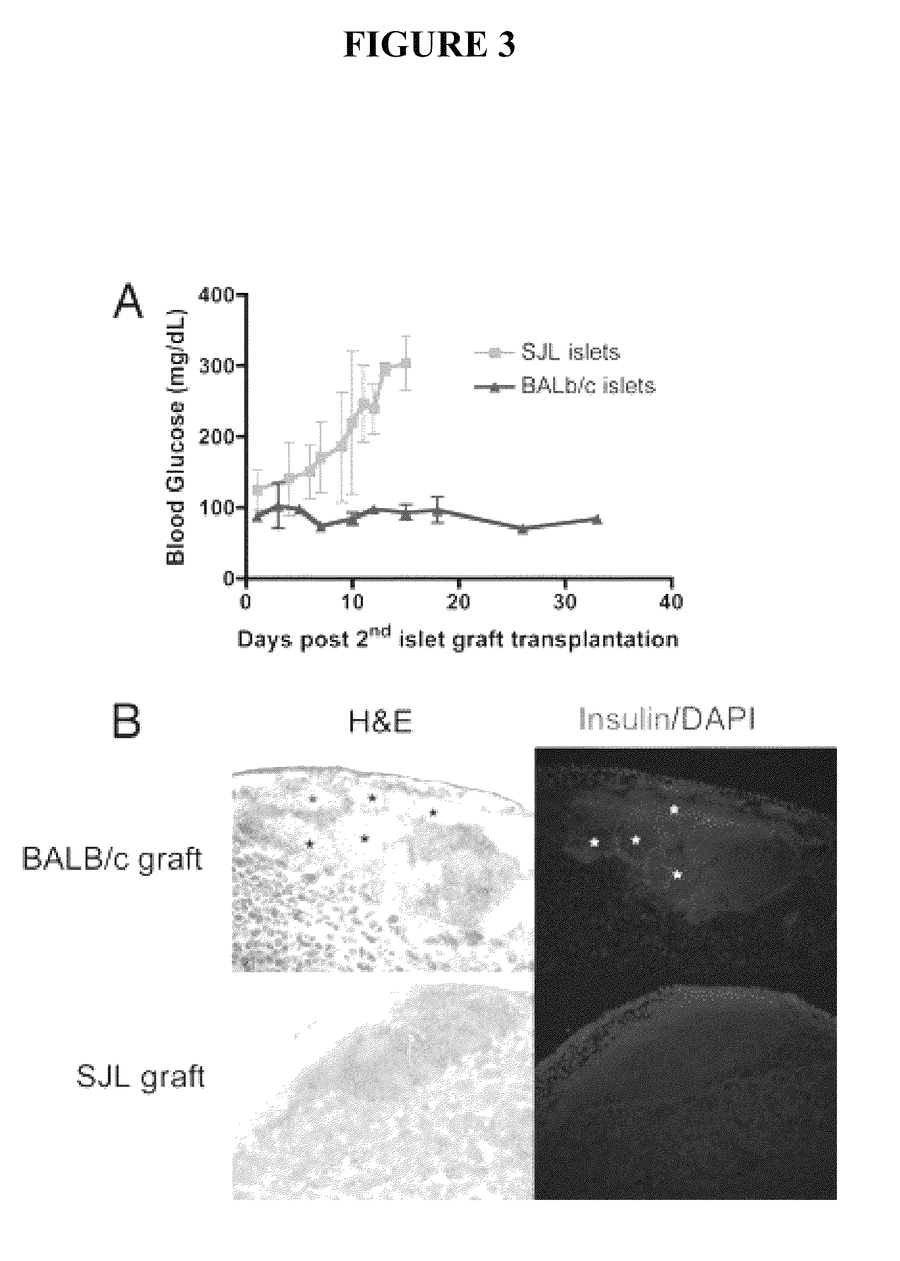 Use of ECDI-fixed cell tolerance as a method for preventing allograft rejection