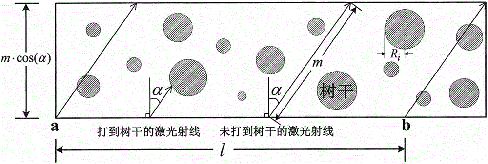 Method for estimating forest parameter based on inter-trunk pores