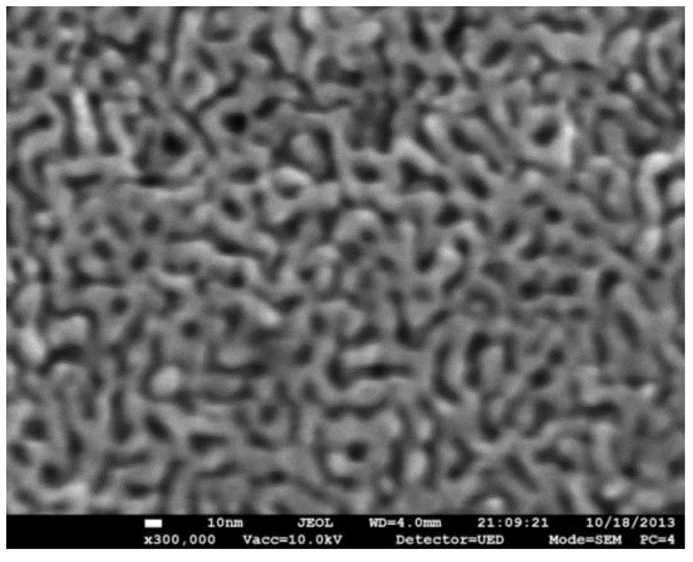 Method for preparing fuel cell thin film electrode by using nanoporous gold
